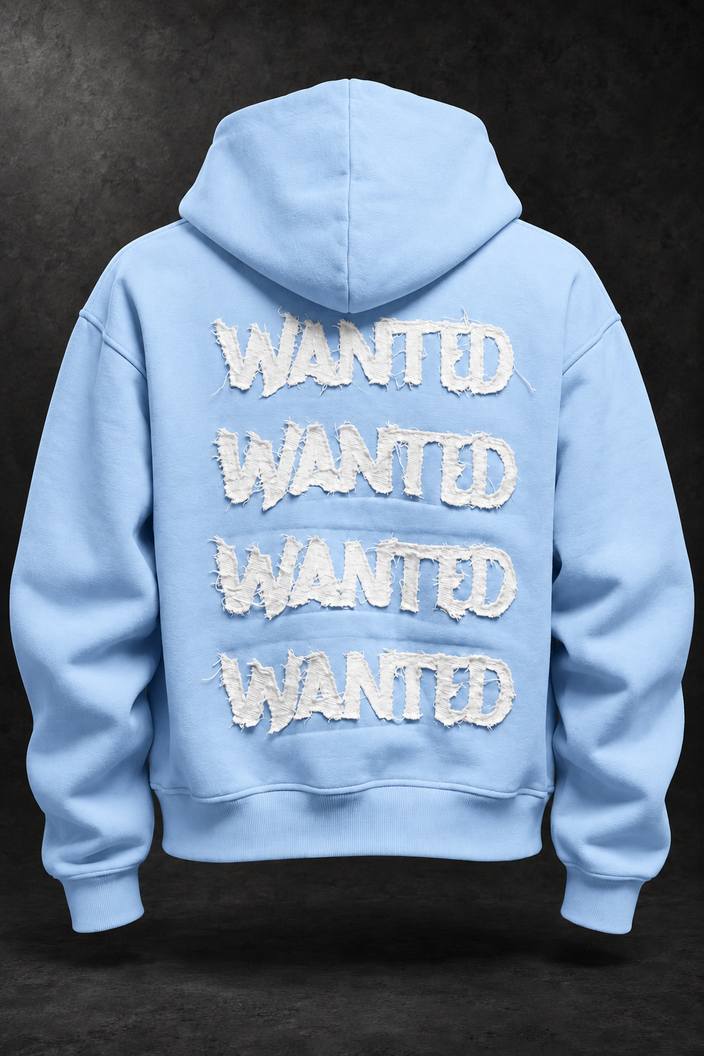 Wanted Zip-Up Baby Blue / White, back